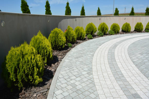 Best Asphalt Driveway Paving in Arlington Heights, WA